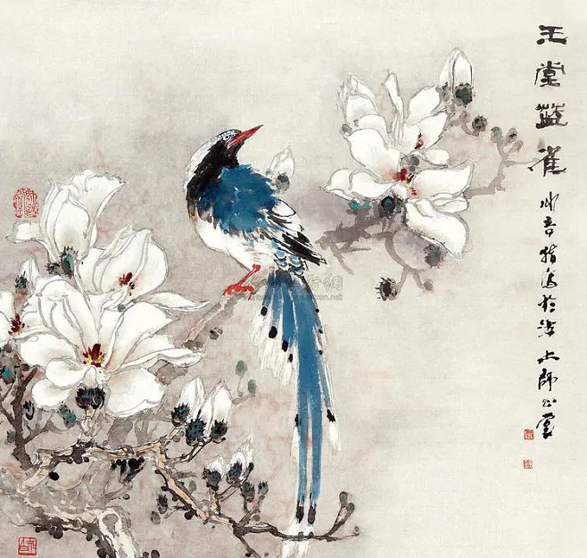 花鸟画——一幅幅自然之美的艺术之作